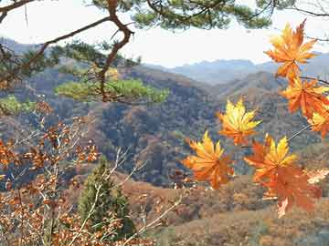 龍泉驛區(qū)科學(xué)技術(shù)和工業(yè)信息化局