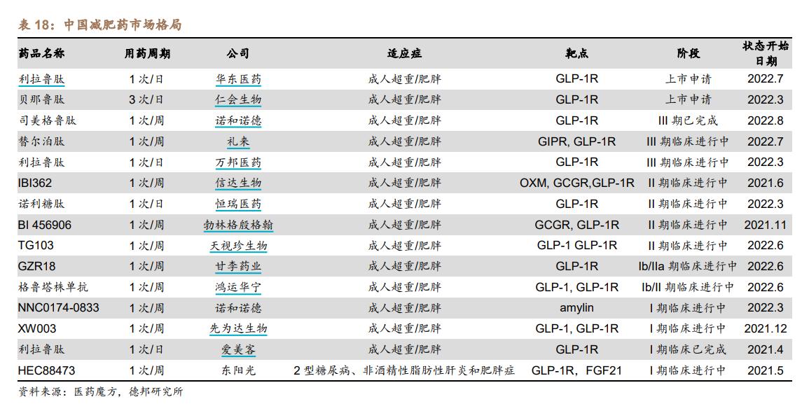 國(guó)產(chǎn)司美格魯肽未批準(zhǔn)上市熱議背后的真相與期待，熱議背后的真相與期待，國(guó)產(chǎn)司美格魯肽的批準(zhǔn)上市之路