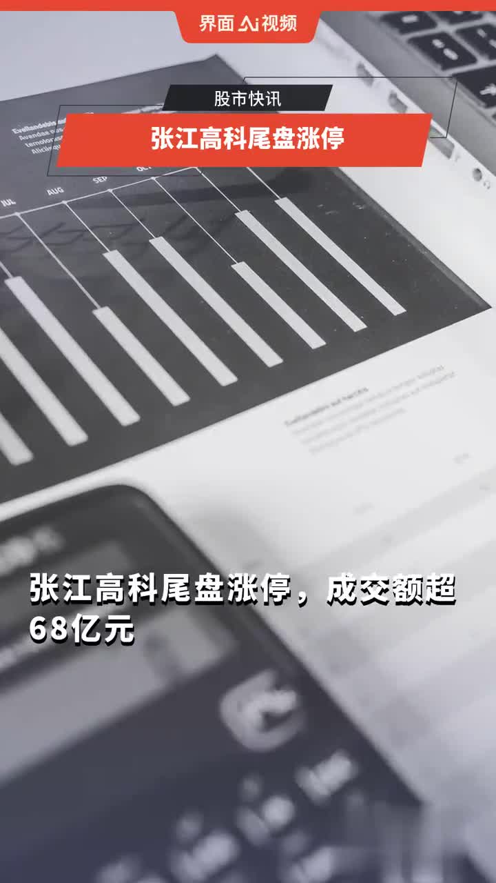 張江高科技股票，投資前景深度解析，張江高科技股票投資前景深度剖析