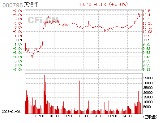 關(guān)于股票000795的全面解析，股票000795全面解析指南