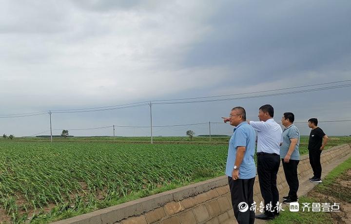 山東濱州天氣預報——掌握天氣動態(tài)，生活更從容，山東濱州天氣預報，天氣預報助你生活更從容