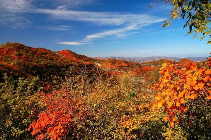 仙臺(tái)山風(fēng)景區(qū)，自然之美盡收眼底，仙臺(tái)山風(fēng)景區(qū)，自然之美的全景展現(xiàn)