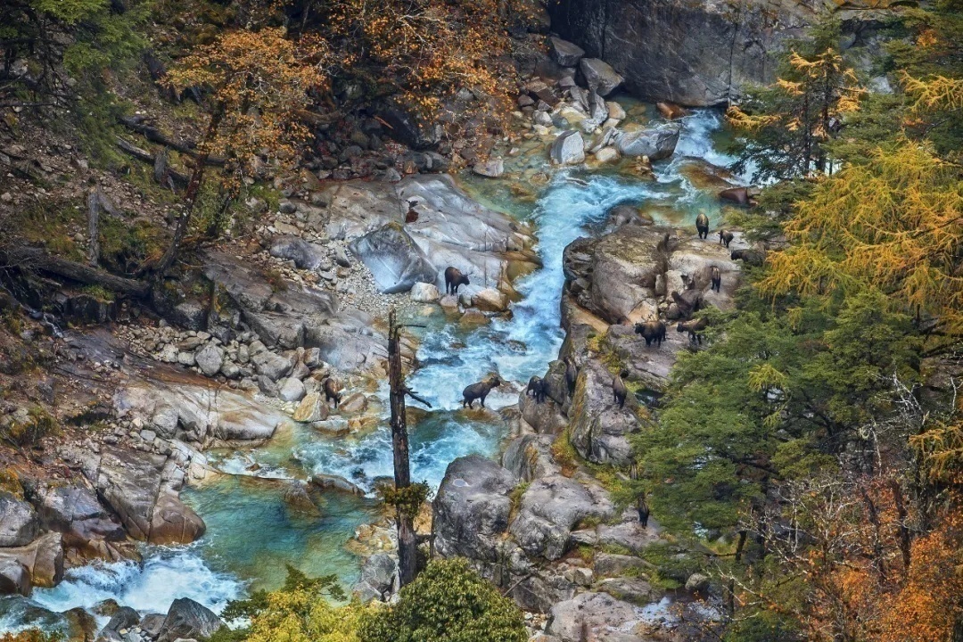 國(guó)家公園，自然之美的璀璨明珠，國(guó)家公園，自然之美的璀璨瑰寶